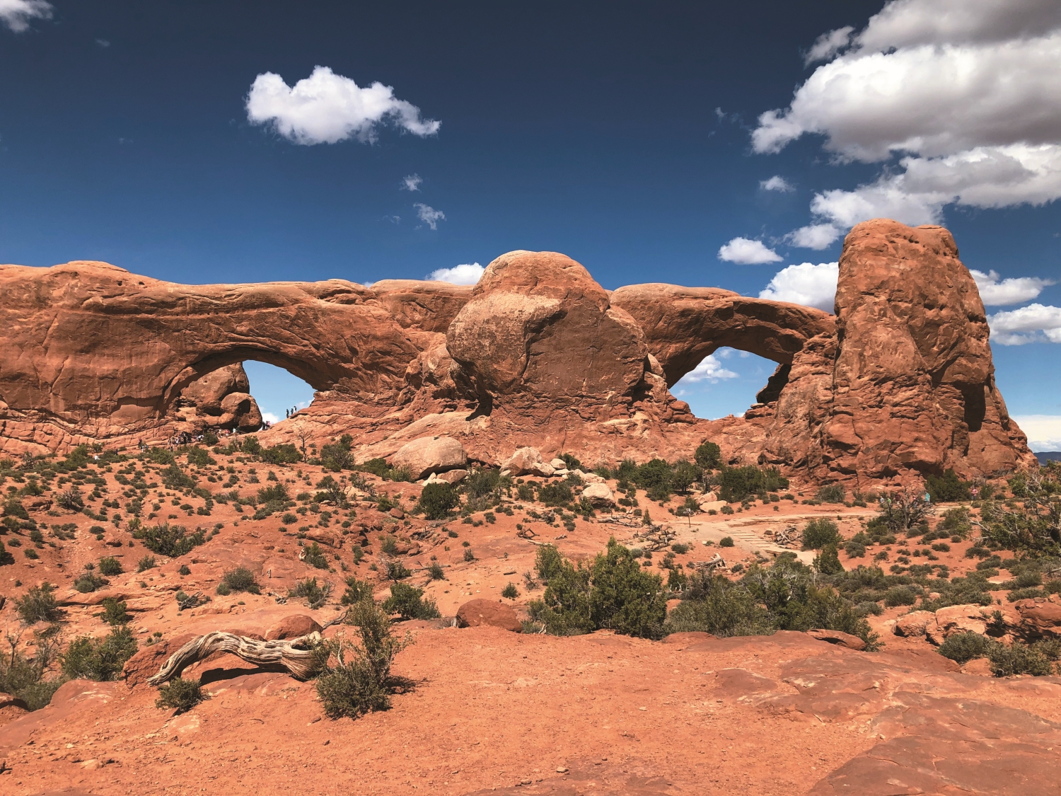 美國國家公園為世界國家公園之濫觴，為自然資源的保育管理樹立典範／林文和 提供