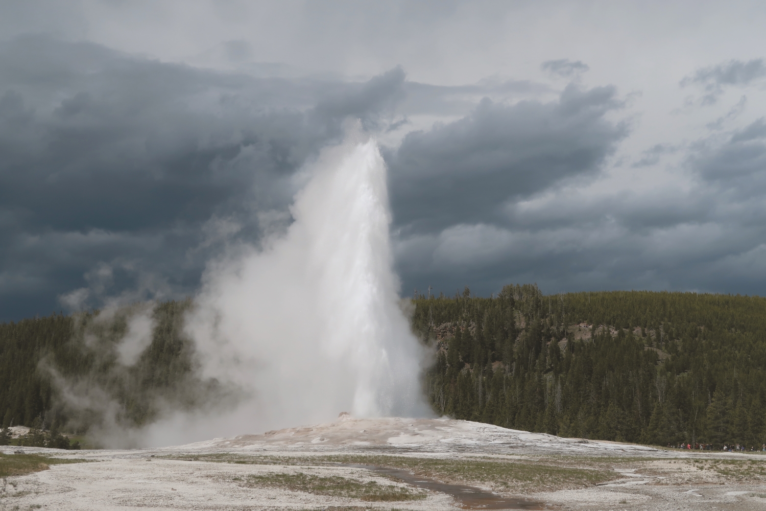 老忠實間歇泉噴發間隔約90 分鐘，是黃石國家公園必遊景點之一／林文和 提供
