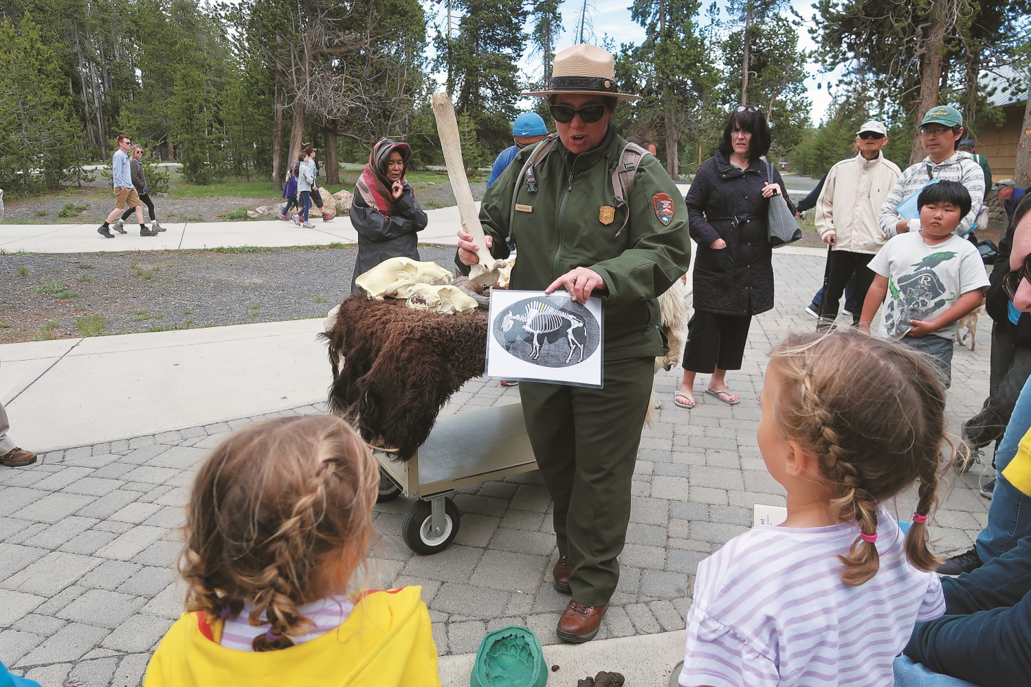 黃石國家公園解說巡邏員以自製圖卡及道具進行行動解說／林文和 提供