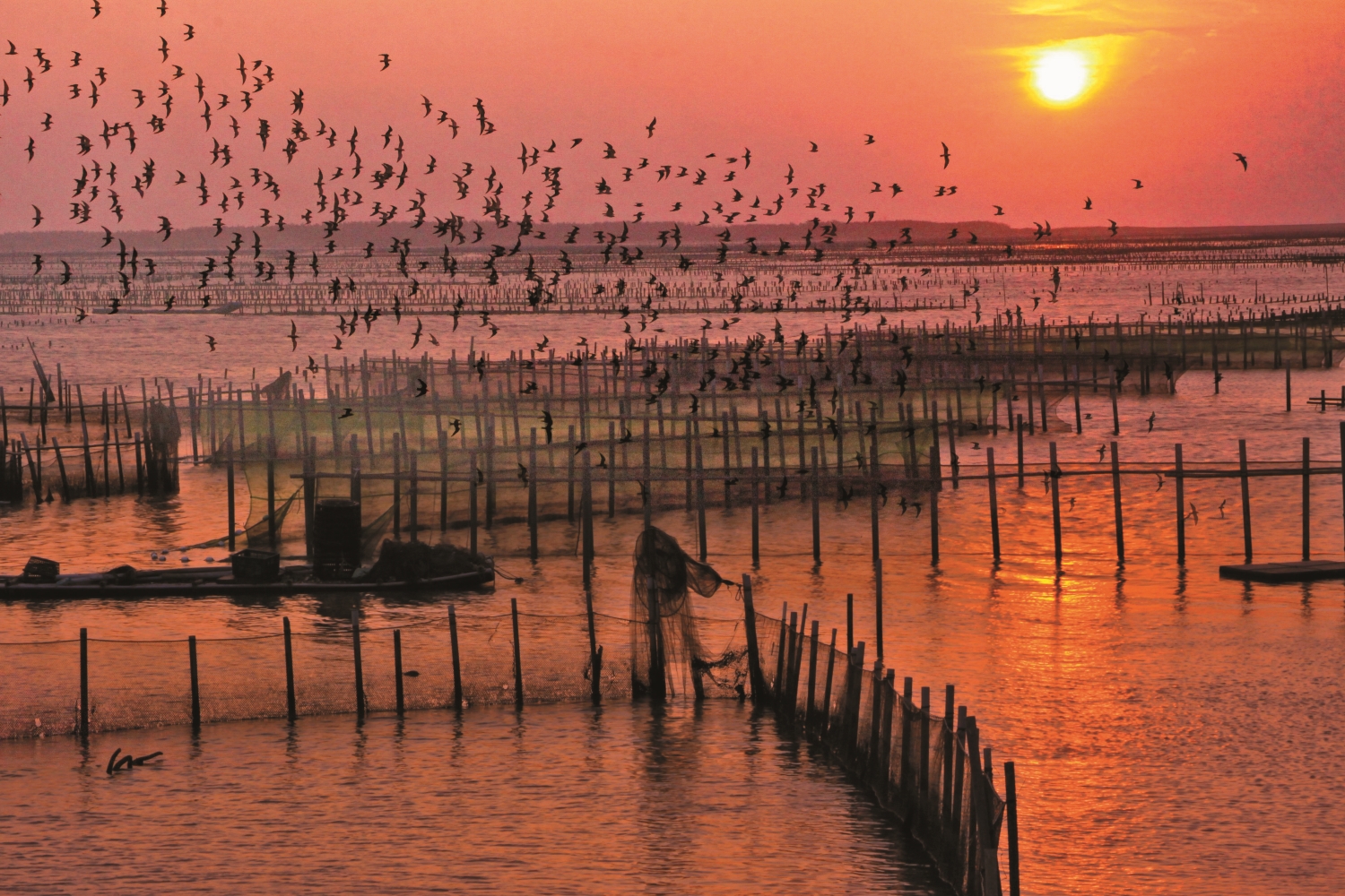 台江沒有壯麗山河，但有著深厚的歷史底蘊以及回家般的安心踏實／台管處提供（陳正祥攝）