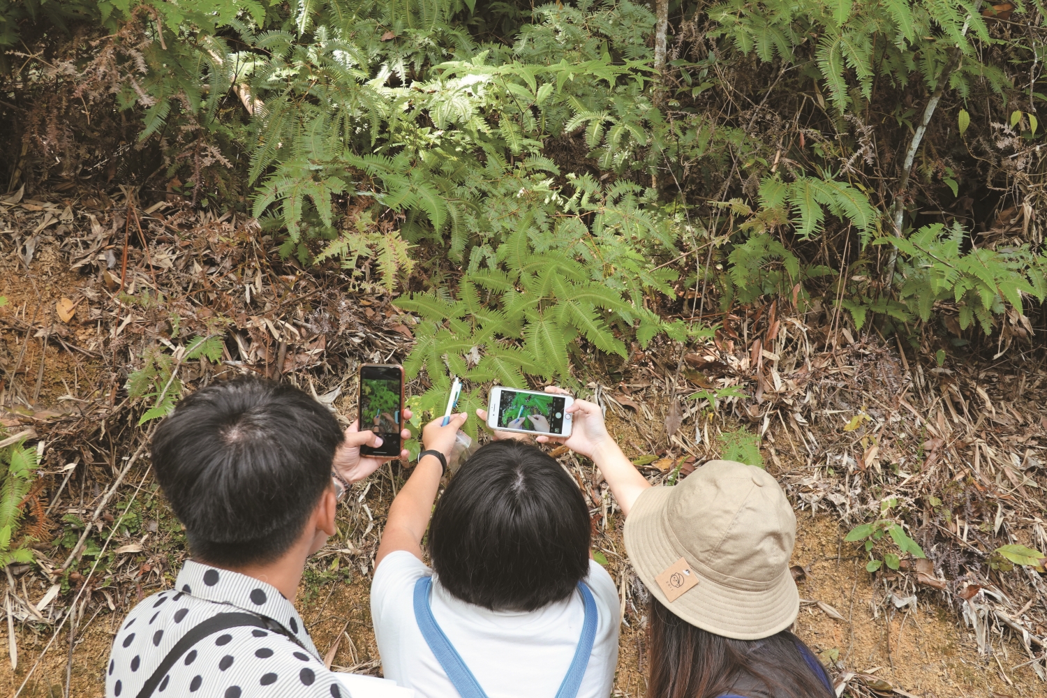 使用手機紀錄周邊動植物並上傳iNaturalist ／林政道 提供