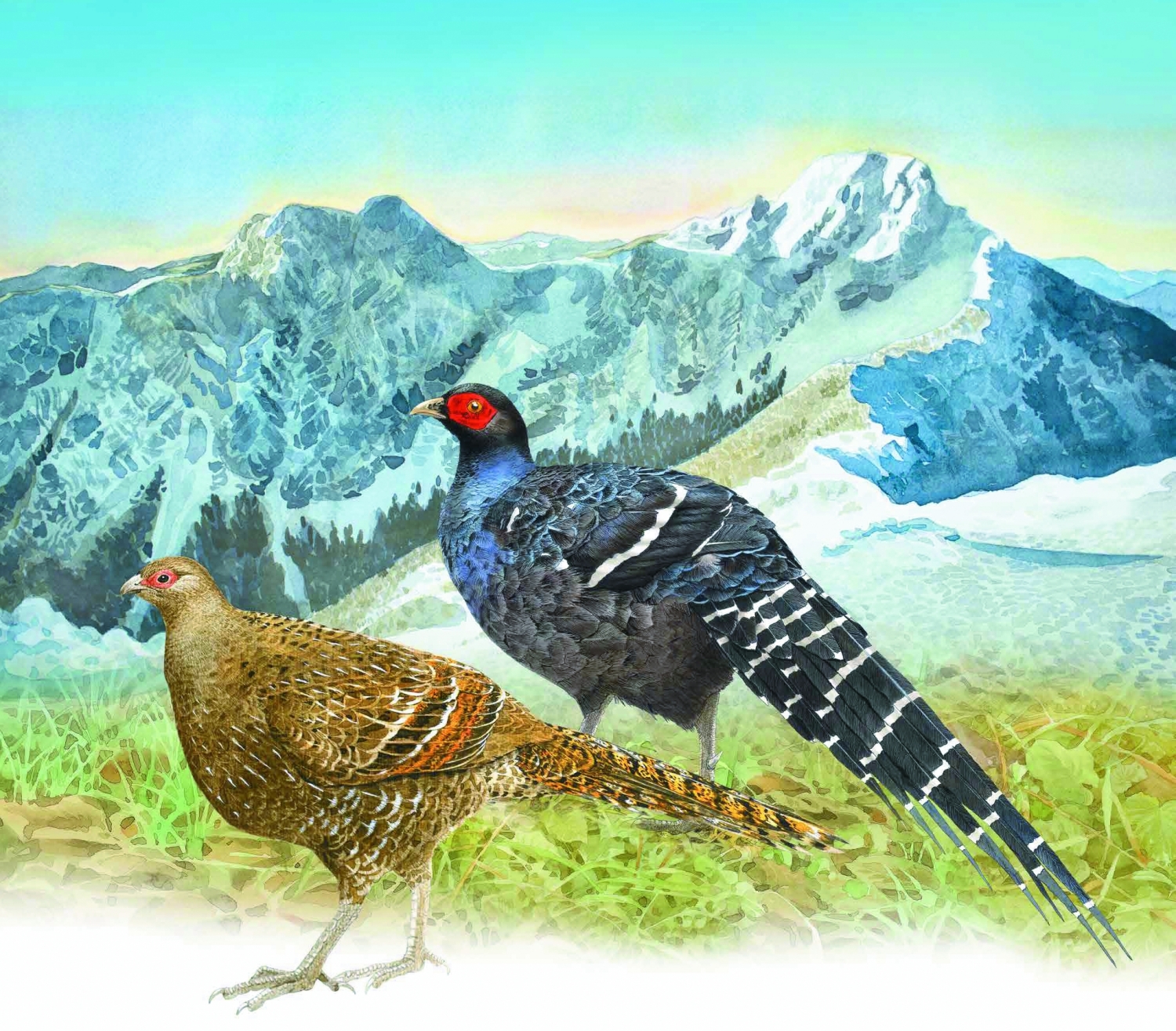 靈動的鳥兒，出自繪本作家劉伯樂之手。