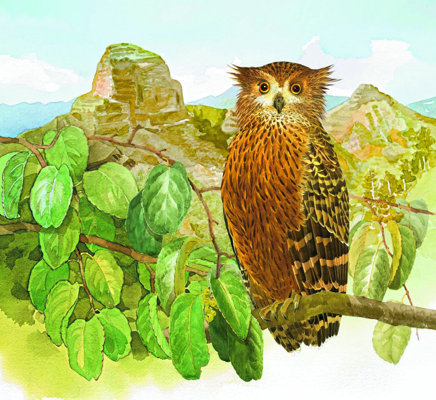 臺灣國家公園2021年月曆內頁精緻靈動的鳥類