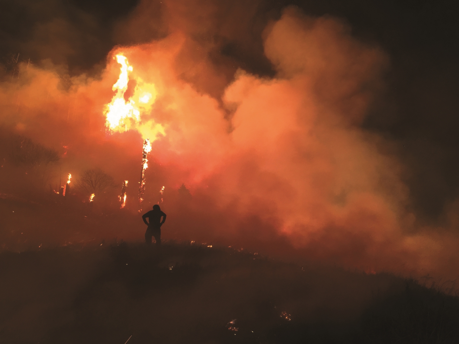 暗夜裡的山火讓山莊裡的眾人疲於奔命，但也凝聚出必須守護山林的使命感／鄭朝雄 提供