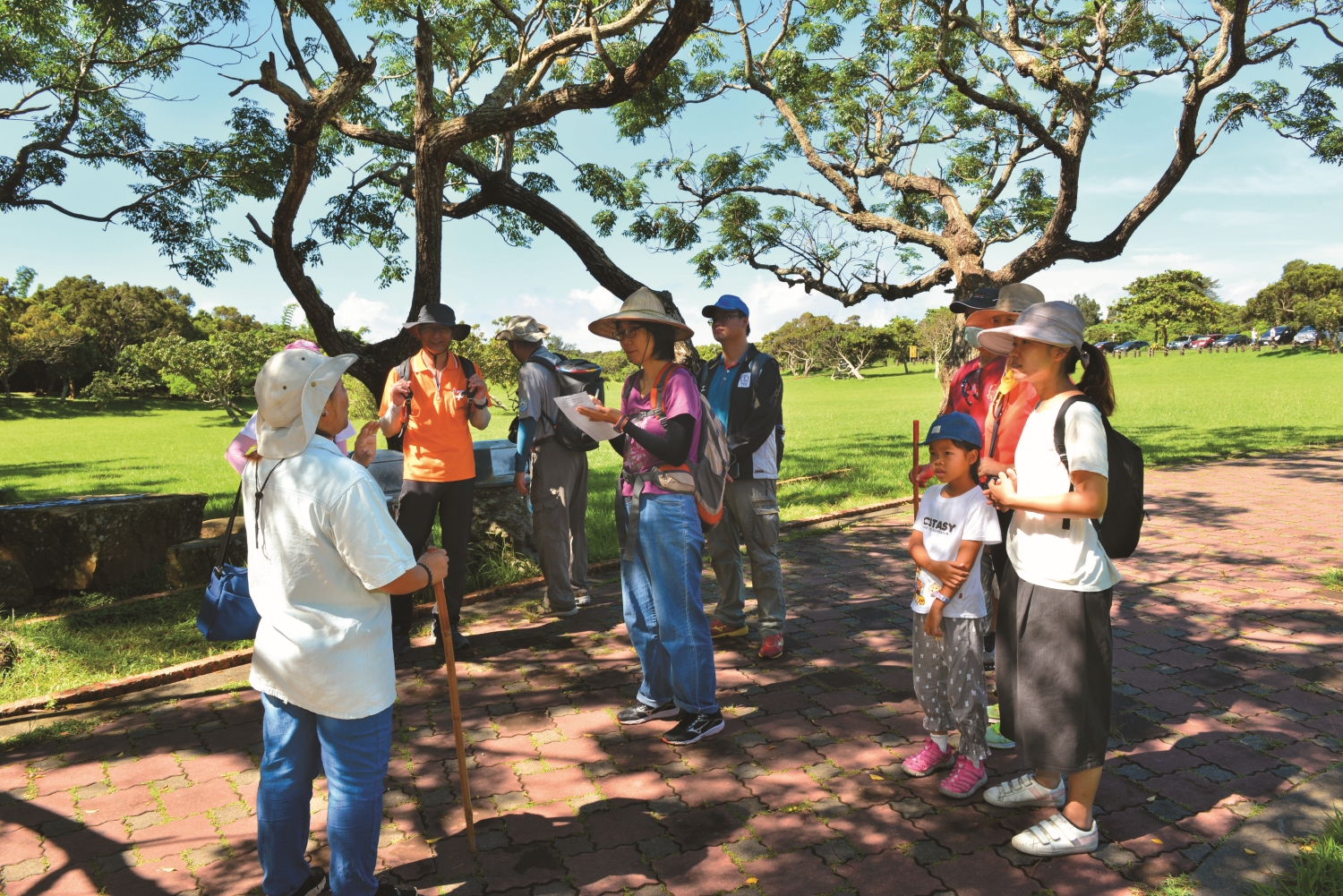 在國家公園的賞蝶活動中,大人小孩都能找到自己投入的方式和成就感/陳忠能 攝