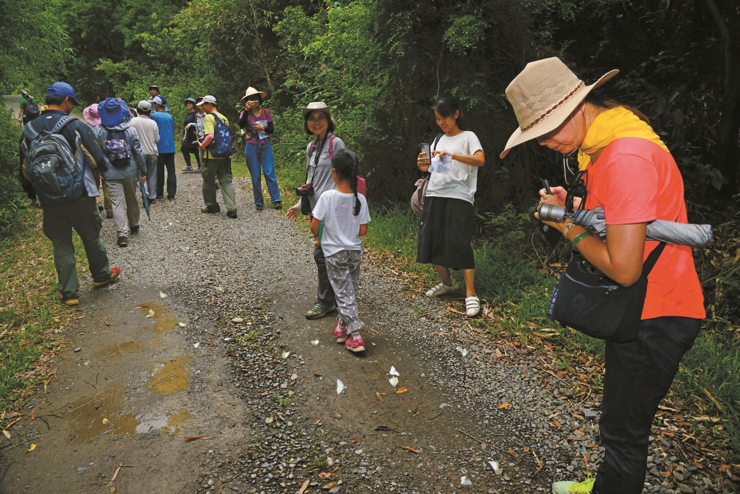 眾人小心觀察腳邊成群的黃尖粉蝶/陳忠能 攝