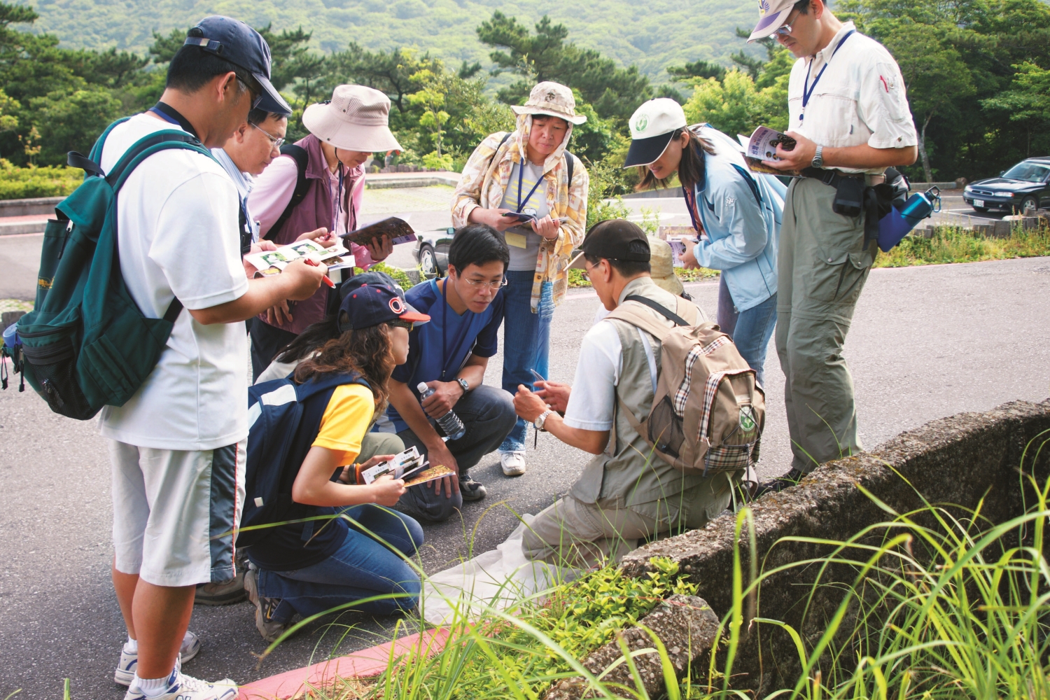 看著手冊中的圖片對照實體,在賞蝶活動中享受收集寶可夢般的樂趣/陽管處 提供(陳彥伯 攝)