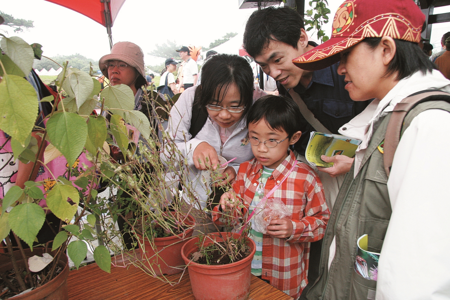 賞蝶活動中不只認識蝴蝶,也能認識其幼蟲、蛹和食草蜜源植物/陽管處 提供(蕭秀梅 攝)