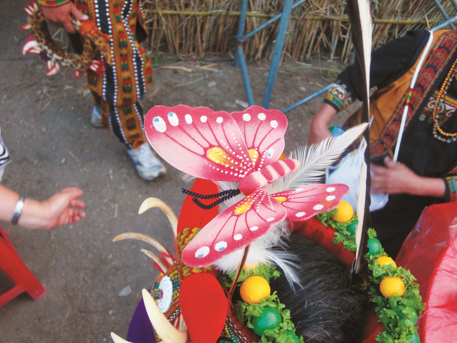 現在族人以蝴蝶造型之工藝品取代皇蛾標本／廖紫均 攝