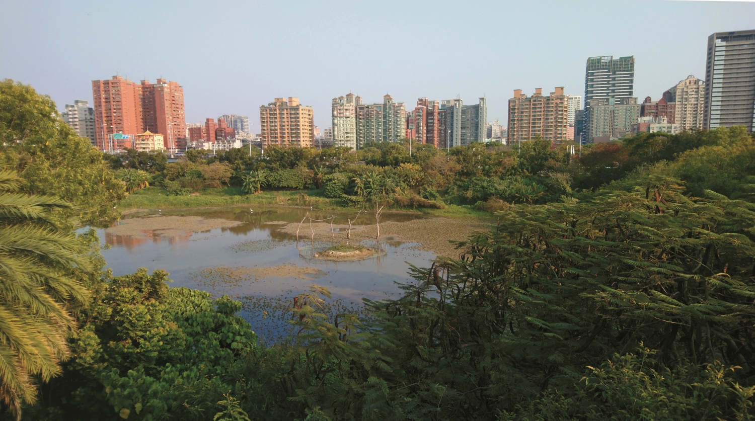 從觀景塔上俯覽洲仔濕地(冬季為枯水期),可清楚看見臨翠華路的緩衝綠帶/呂慧穎 攝