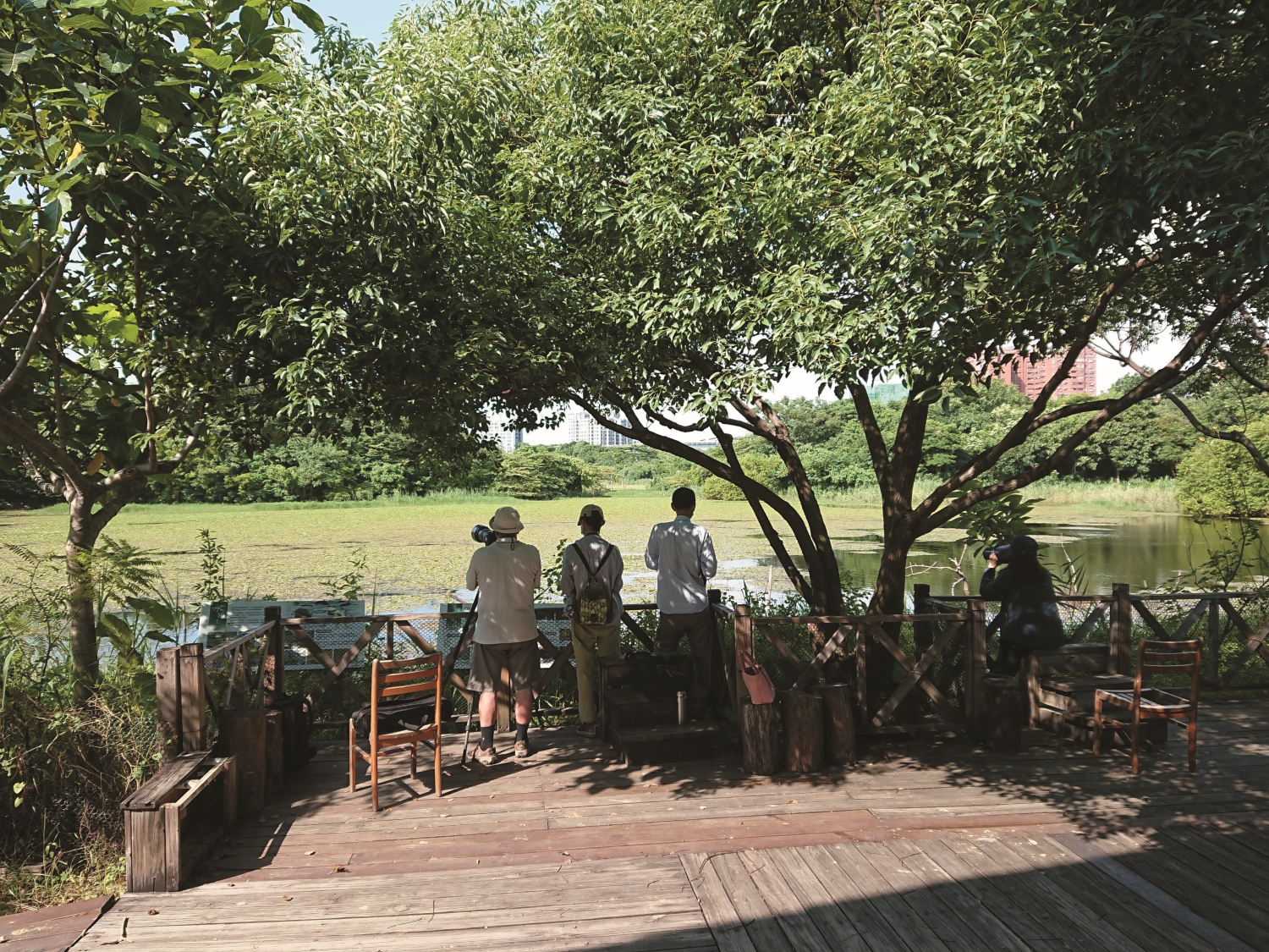 解說中心後方平臺是觀察深水區動物活動的好所在/古靜洋 攝