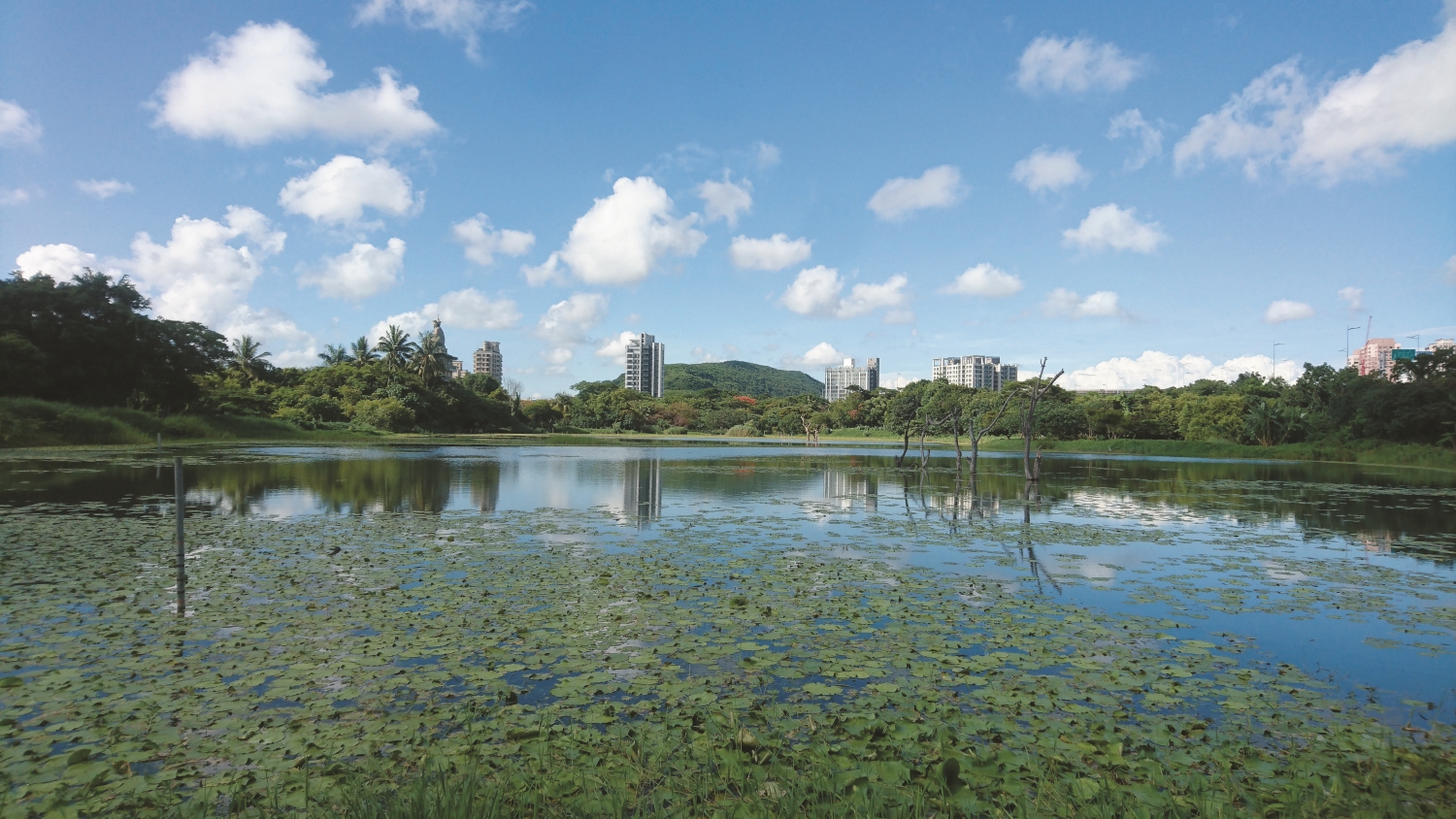 解說中心後方水深三公尺的深水池/古靜洋 攝