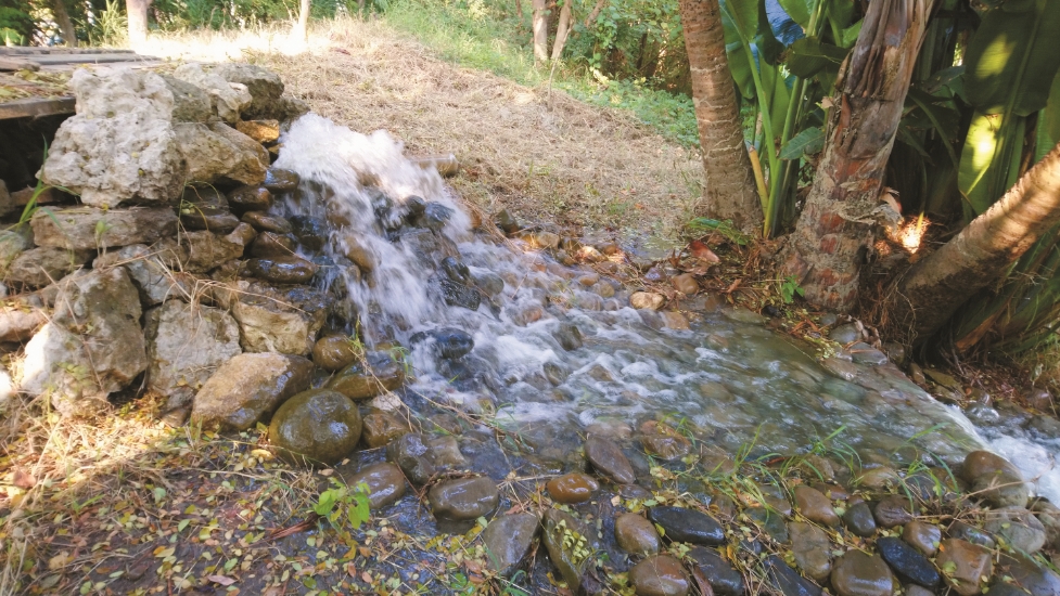 洲仔濕地引蓮池潭潭水作為補充水源/呂慧穎 攝