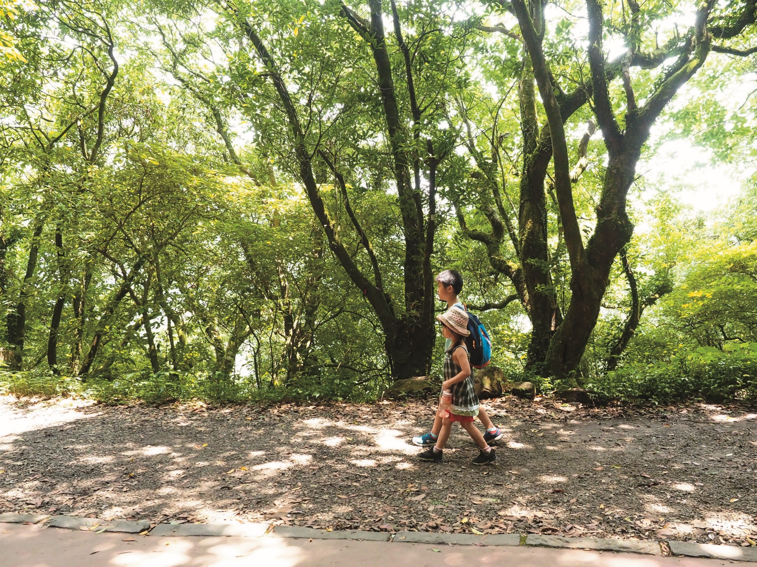 大自然是兒童認知發展過程中無可取代的學習場域/過期牛奶 提供