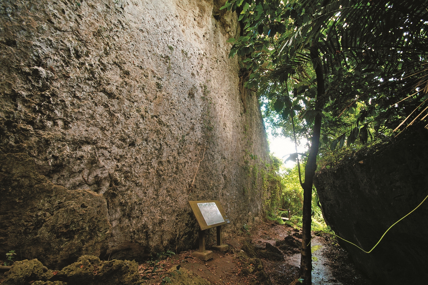 半屏山上的珊瑚礁石灰岩塊讓人感受到時光千萬年的積累/ Peellden 提供(來源:https://zh.wikipedia.org/wiki/File:CoralLime_on_ BanPingHill.jpg)