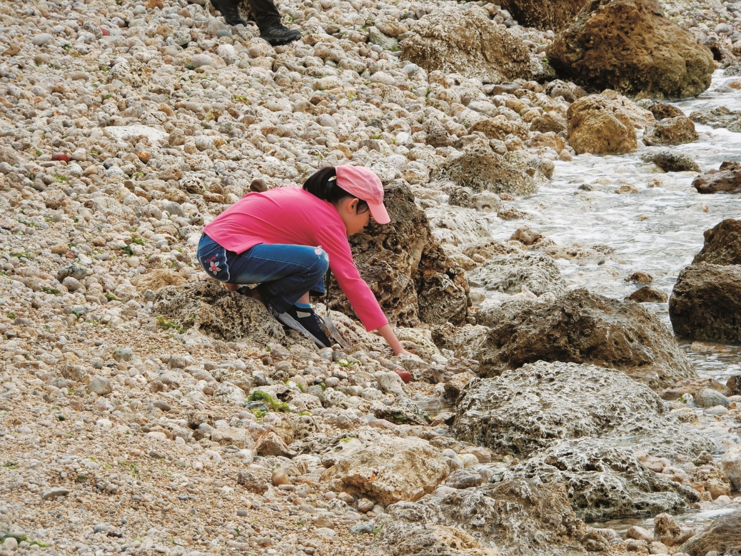 海風的鹹涼、礁岩的粗礪,都是書本和手機上感受不到的「訊息」/自管處 提供