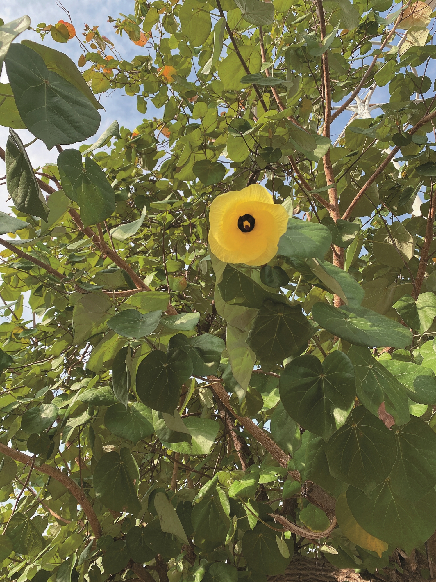 黃瑾/自管處 提供