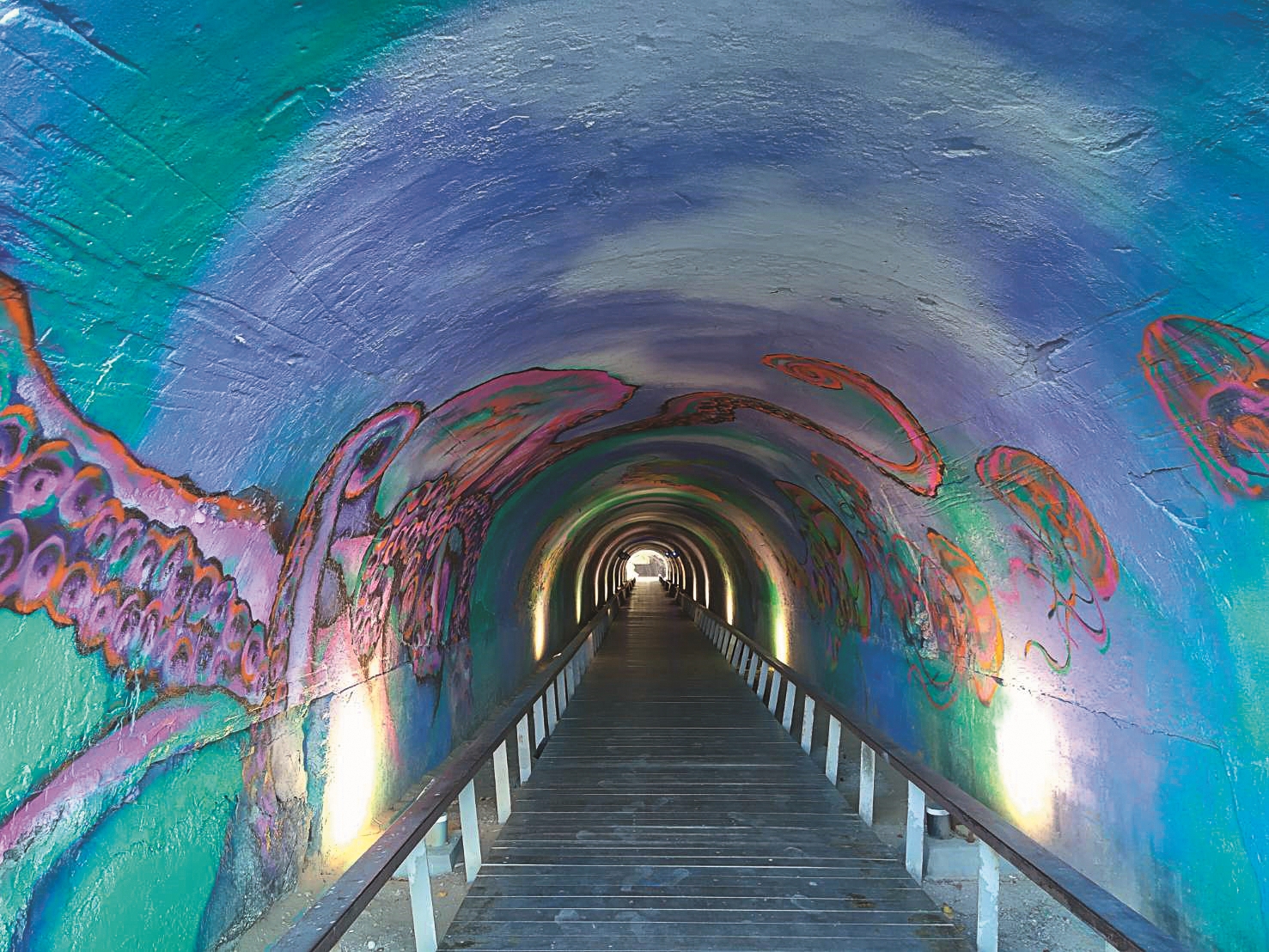 星空隧道/自管處 提供