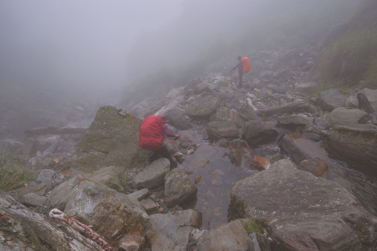 山林中氣候狀況多變,必須在登山前備妥應變之備案,不可盲目前進/ 何昌穎 攝