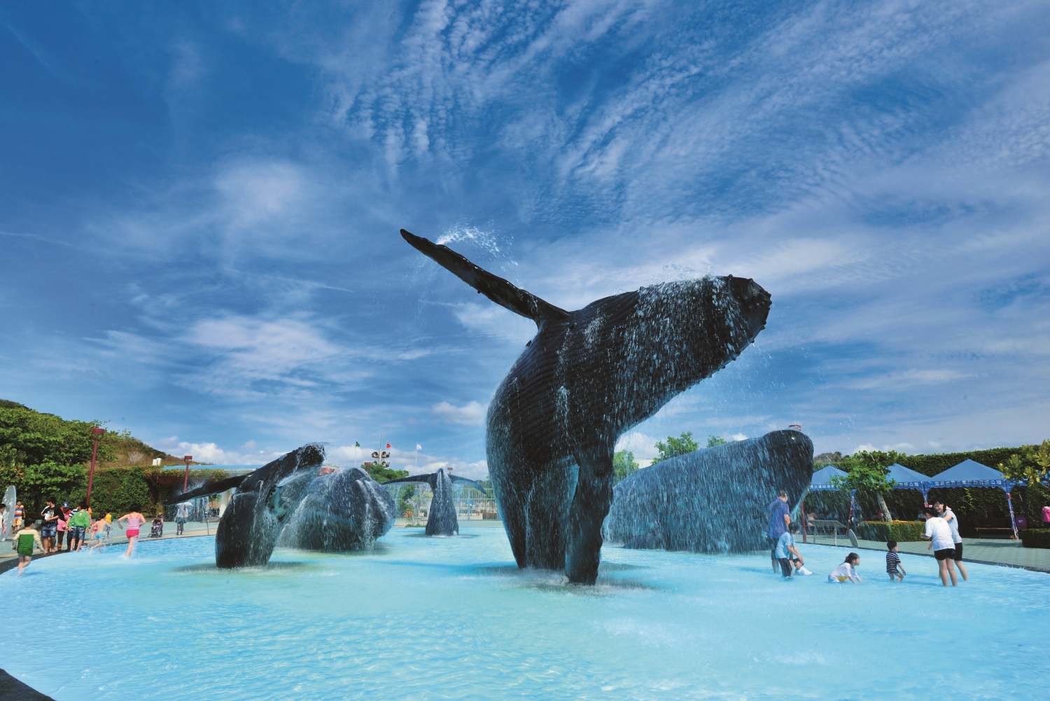 海生館等博物館從場館規劃、展覽、活動到講座，都是帶領人們走進終身學習的入口／陳忠能 攝