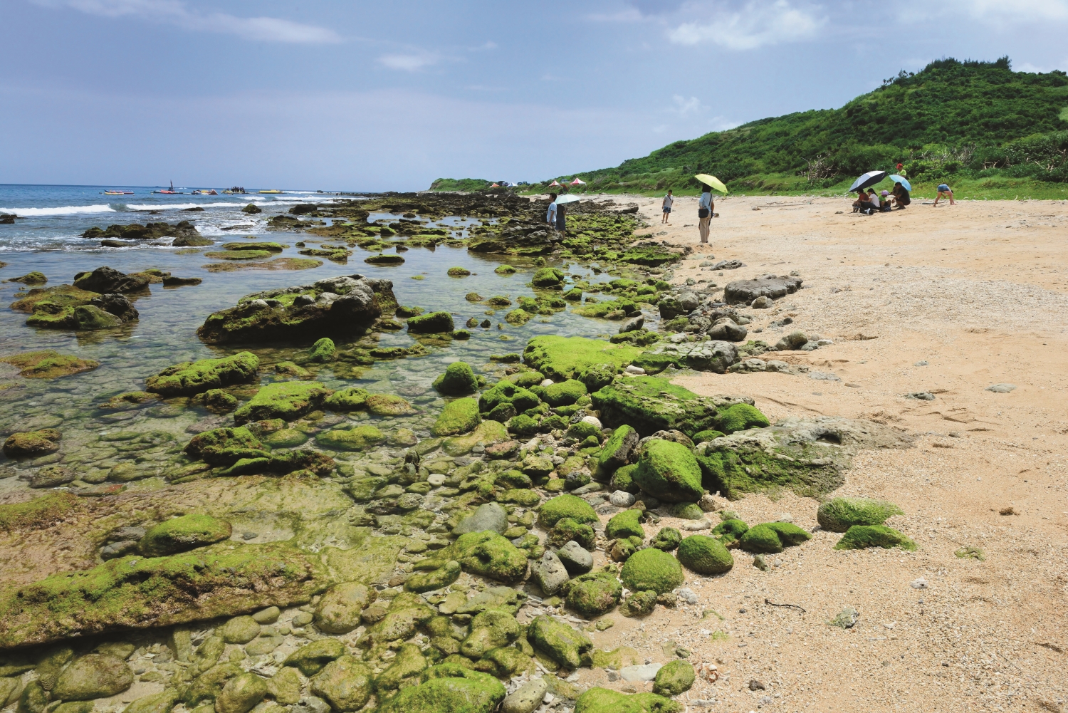 墾丁的山海蘊藏豐富知識與故事，透過半島解說員課程傳遞給加入保育行列的學員們／陳忠能 攝