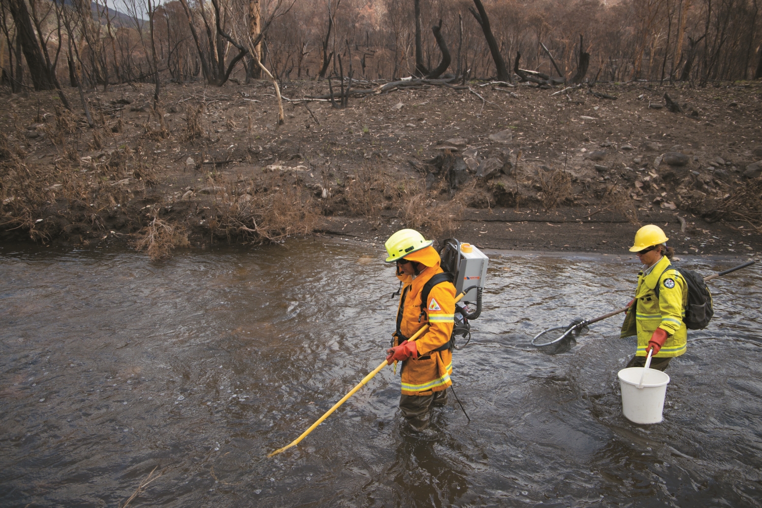 定期監測土壤、河流的數據將運用於評估風險及擬定恢復計畫