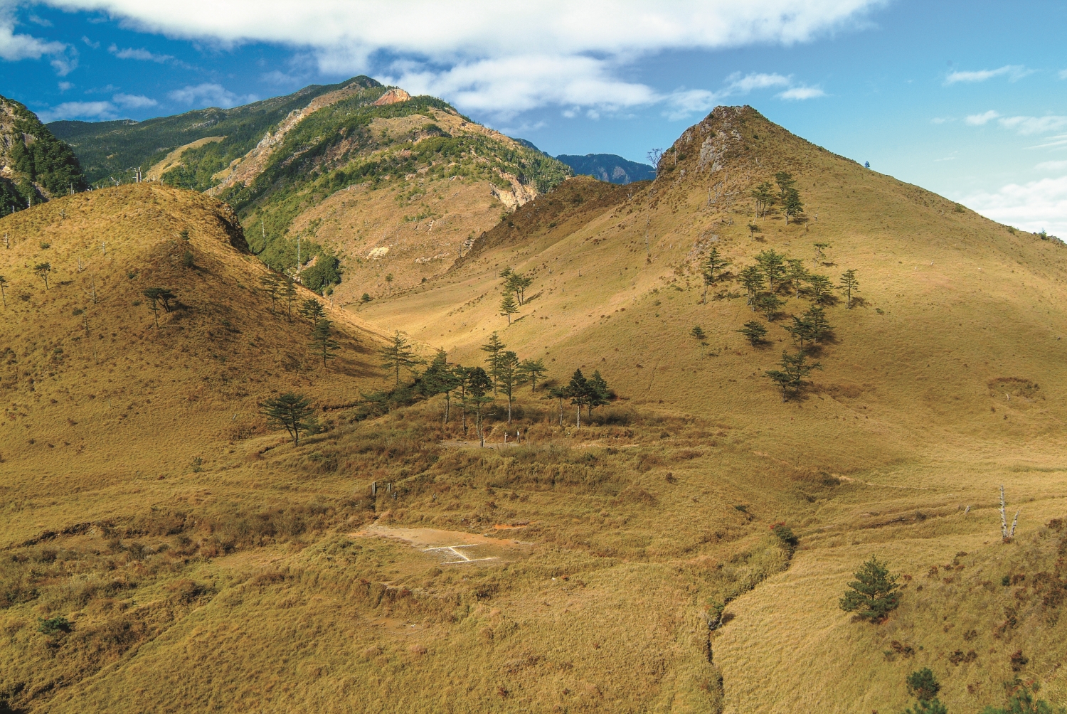 八通關大草原為日治時期警備道與清治時期古道交會的地點,日治時期設有八通關駐在所/何昌穎 攝