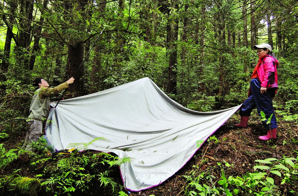 研究者正在進行抖落採集