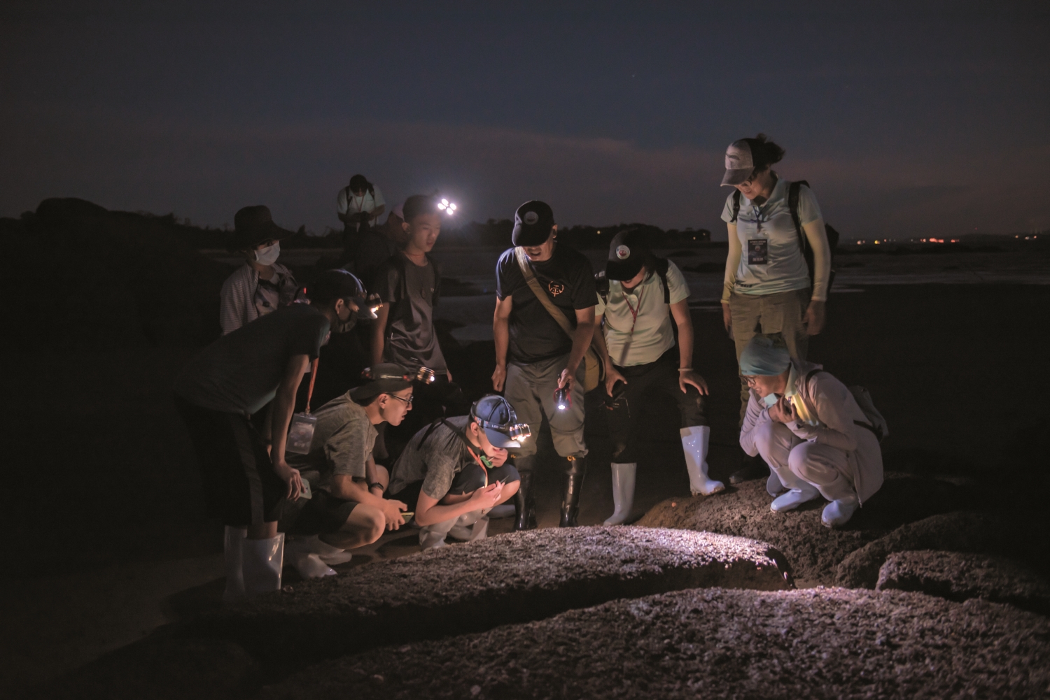 無論白天夜晚，沙岸、岩岸或濕地，彎身低頭，生態驚喜近在眼前／金管處 提供