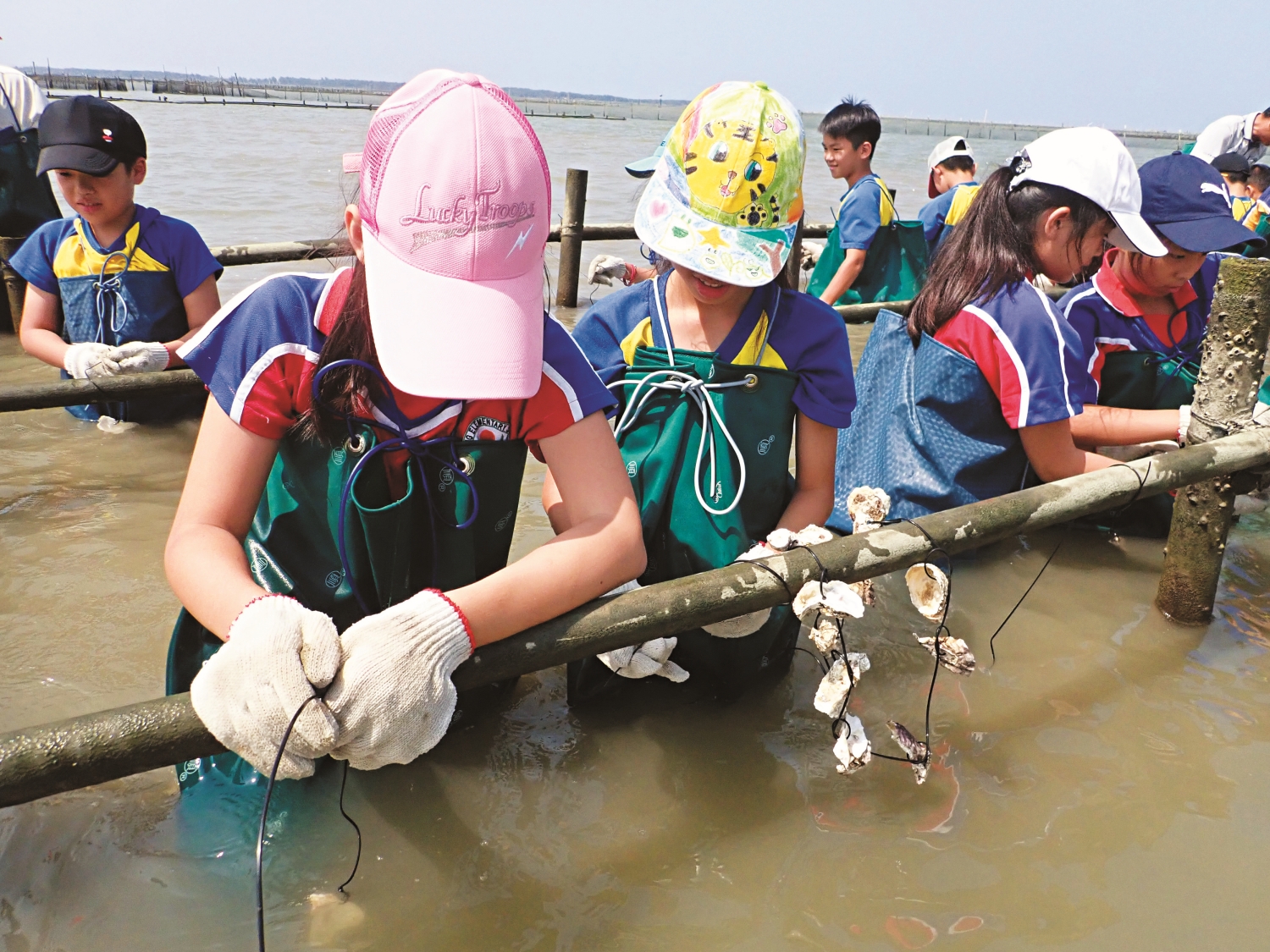 學童們親自體驗與海洋息息相關的養蚵業／台管處 提供