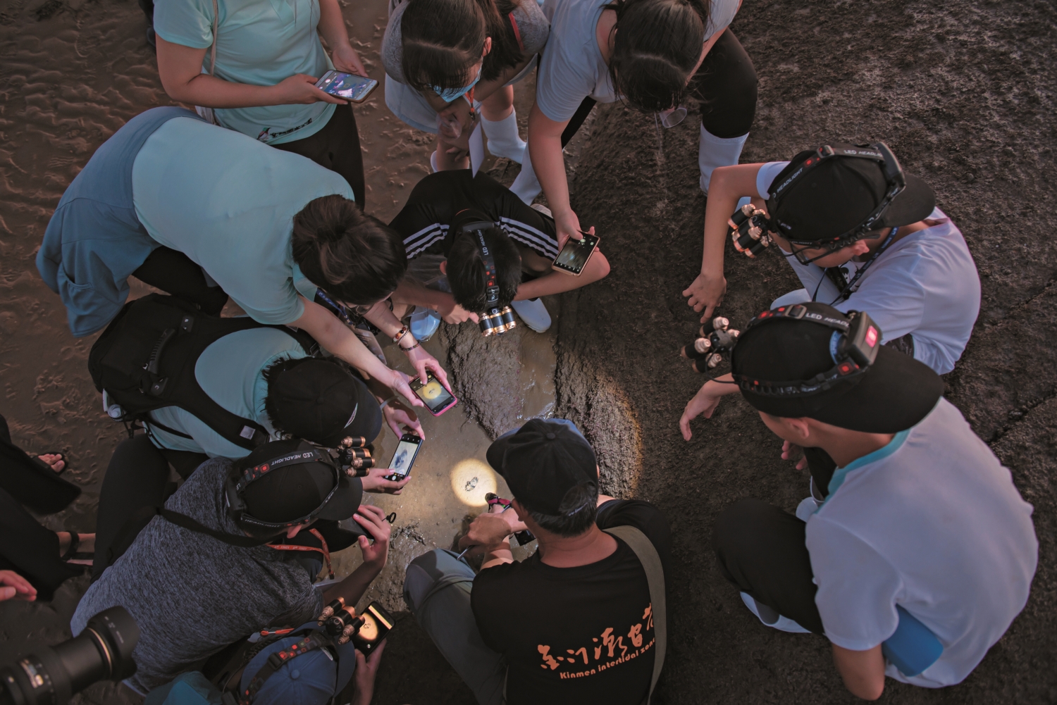 在探照燈輔助下，夜間觀察更添尋寶般的樂趣／金管處 提供