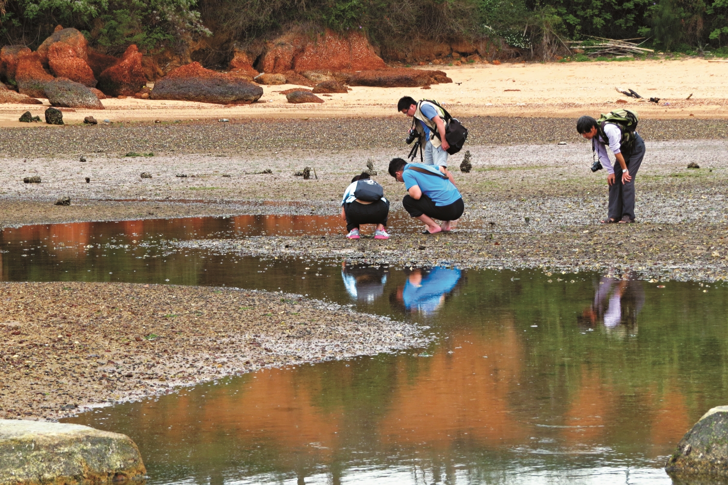 在地人參與監測活動