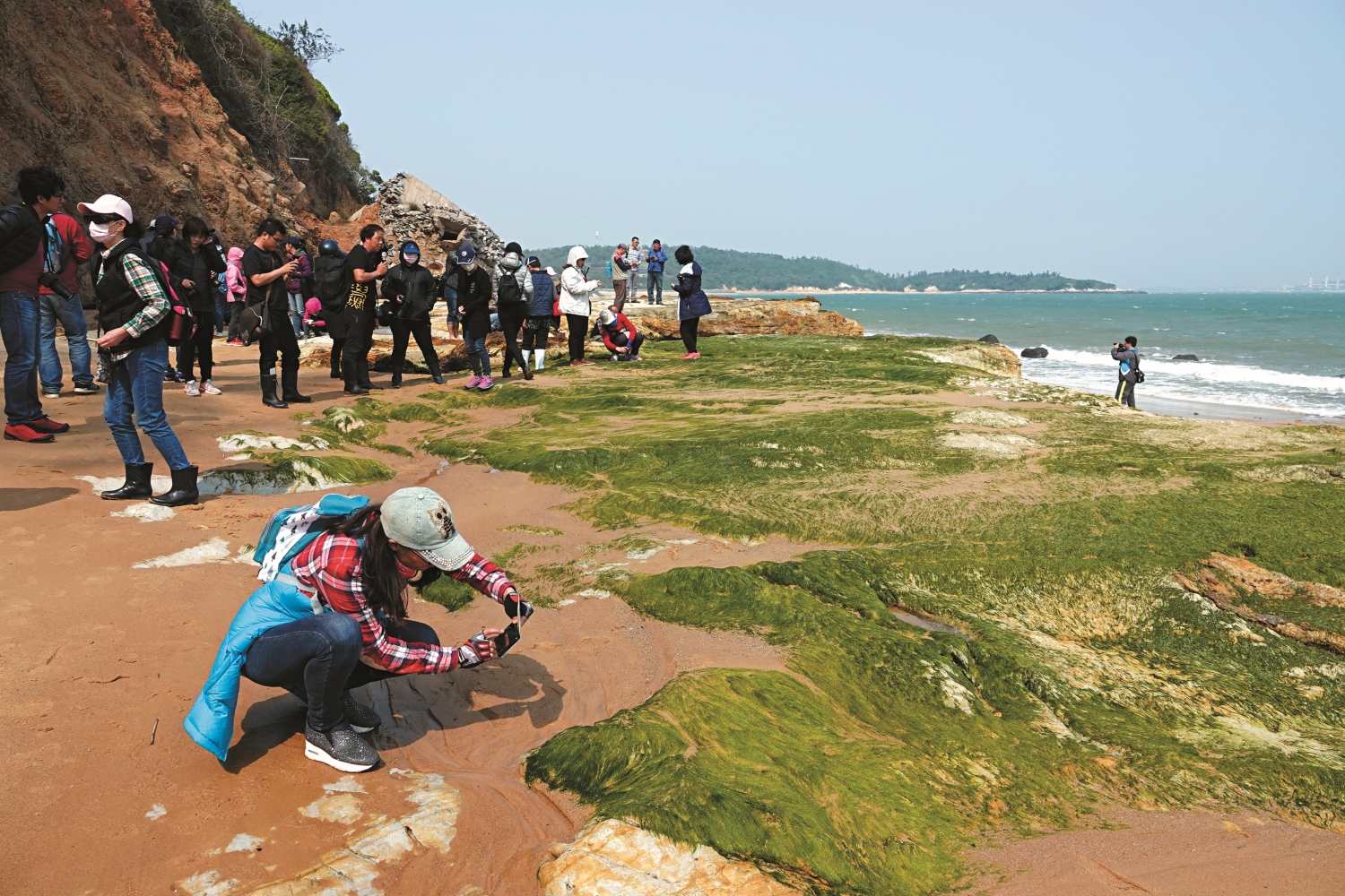 寒風仍不減眾人參與監測的熱情