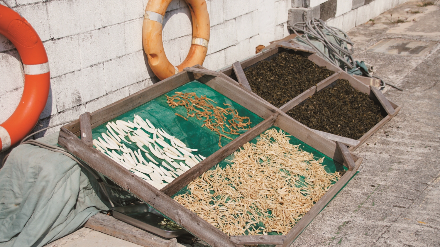 凝縮日曬與海風的菜脯,是資源貧乏的西吉嶼名聲最響亮的食物