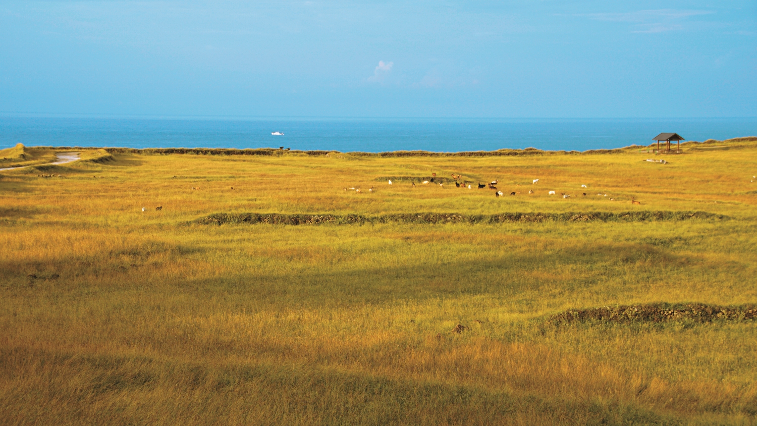 10 月的草原是許光輝記憶中難忘的東吉風光
