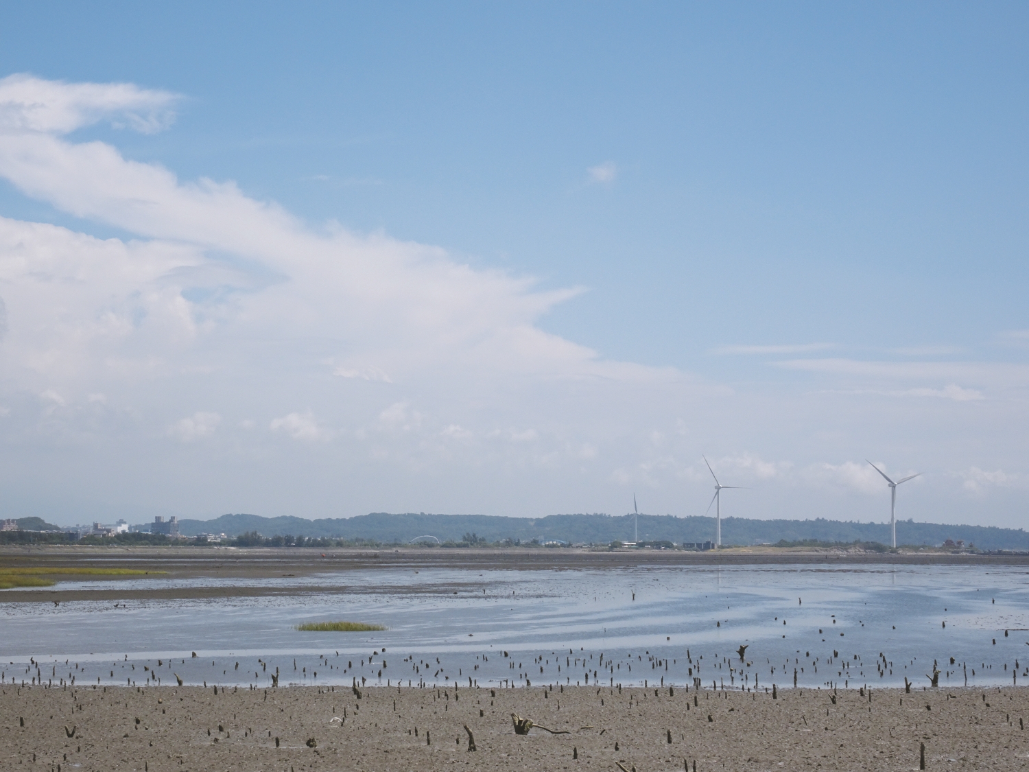 疏伐紅樹林之後，又重新見到開闊的香山濕地景觀（畫面最前方可以看到遺留的紅樹林樹根）／ Heresy's Space 提供（https://kheresy. wordpress.com/）