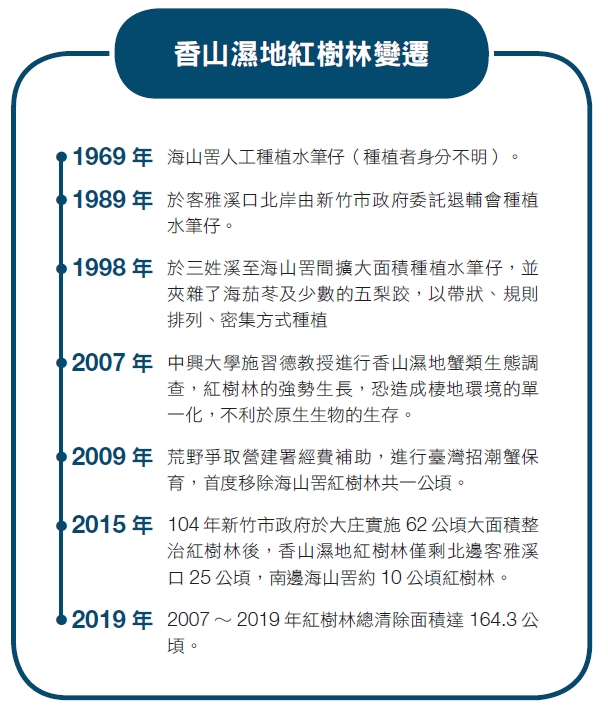 香山濕地紅樹林變遷
