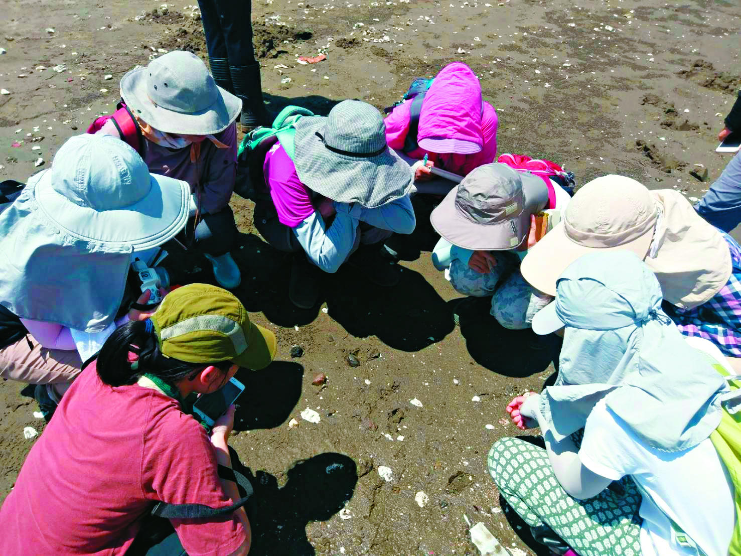 耐心等待螃蟹的出現／彭成源 提供