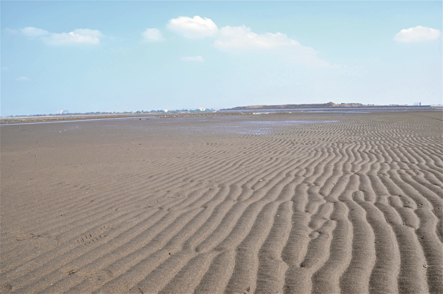 香山濕地潮間帶最寬達2公里，對親子而言是安全性高的活動場域／張登凱 提供