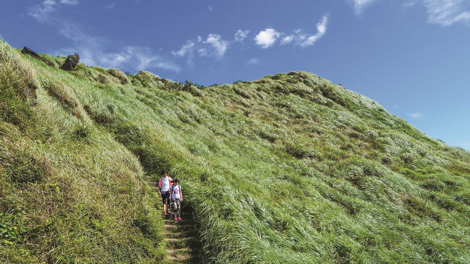 人們天生就有親近自然環境的渴望／楊懷智 攝