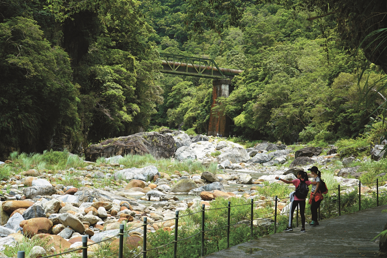 國家公園提供可以安心「東張西望」、發現樂趣的環境／楊懷智 攝