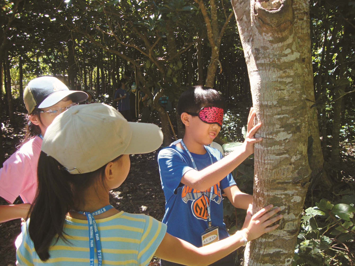 透過嚮導帶領，重新打開連結自然的感官通道／墾管處 提供