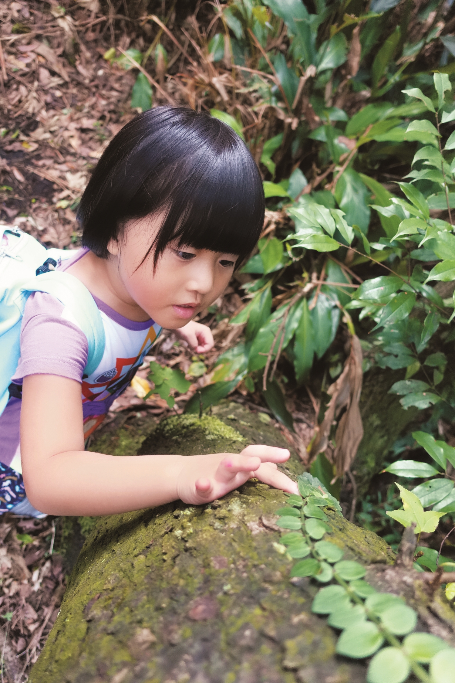 孩子們在大自然中的體驗，是任何影像或遊樂設施無法取代的／張雅雯 攝