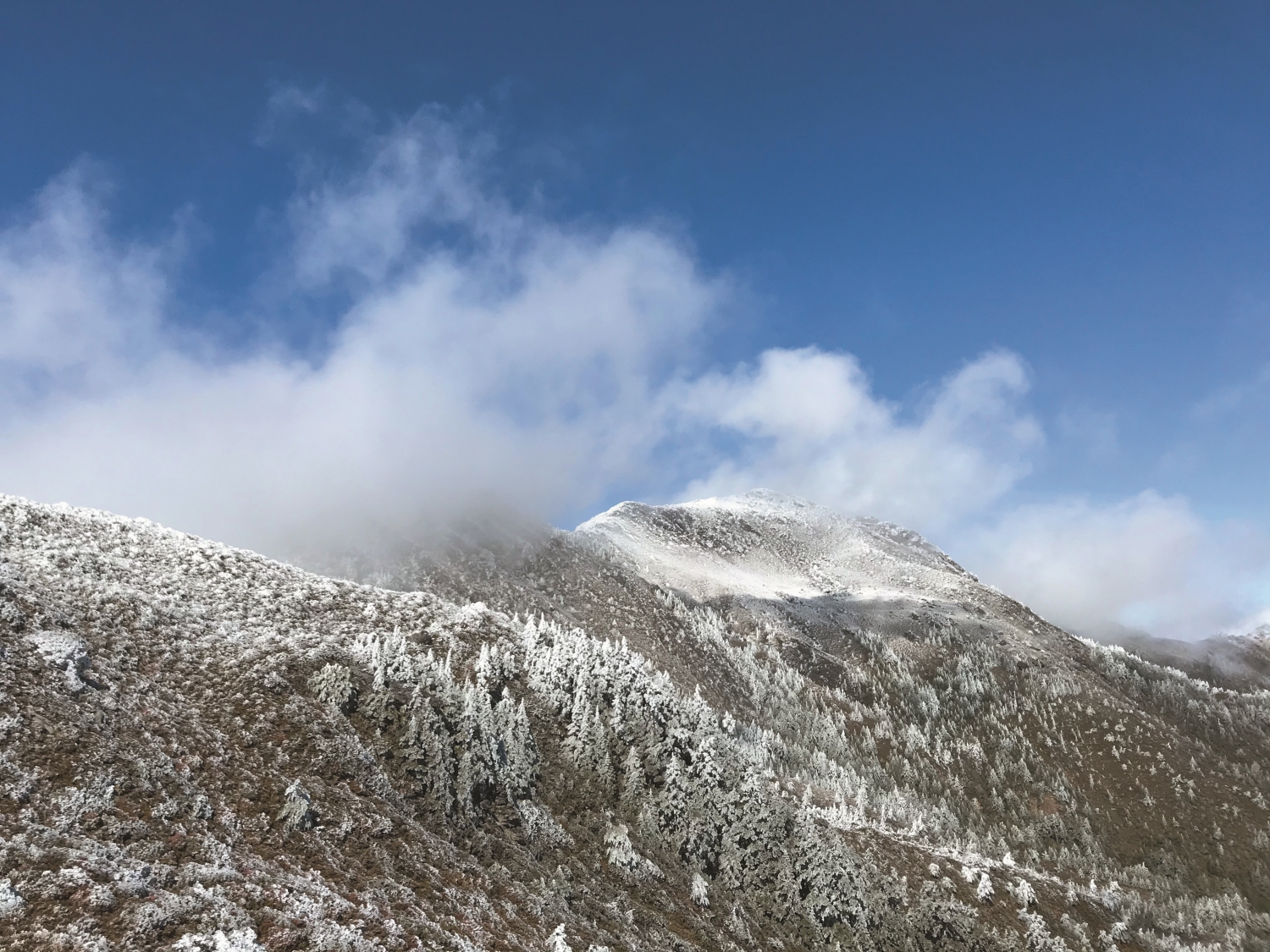 山林環境狀況多變,登山客不熟悉的雪、霧等變化將使迷途機率大增/葉兆擁 提供