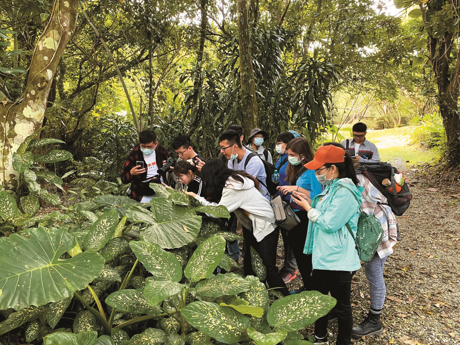 走入大自然不但能親近生命帶來的驚喜，更能促進身心健康／周儒 攝