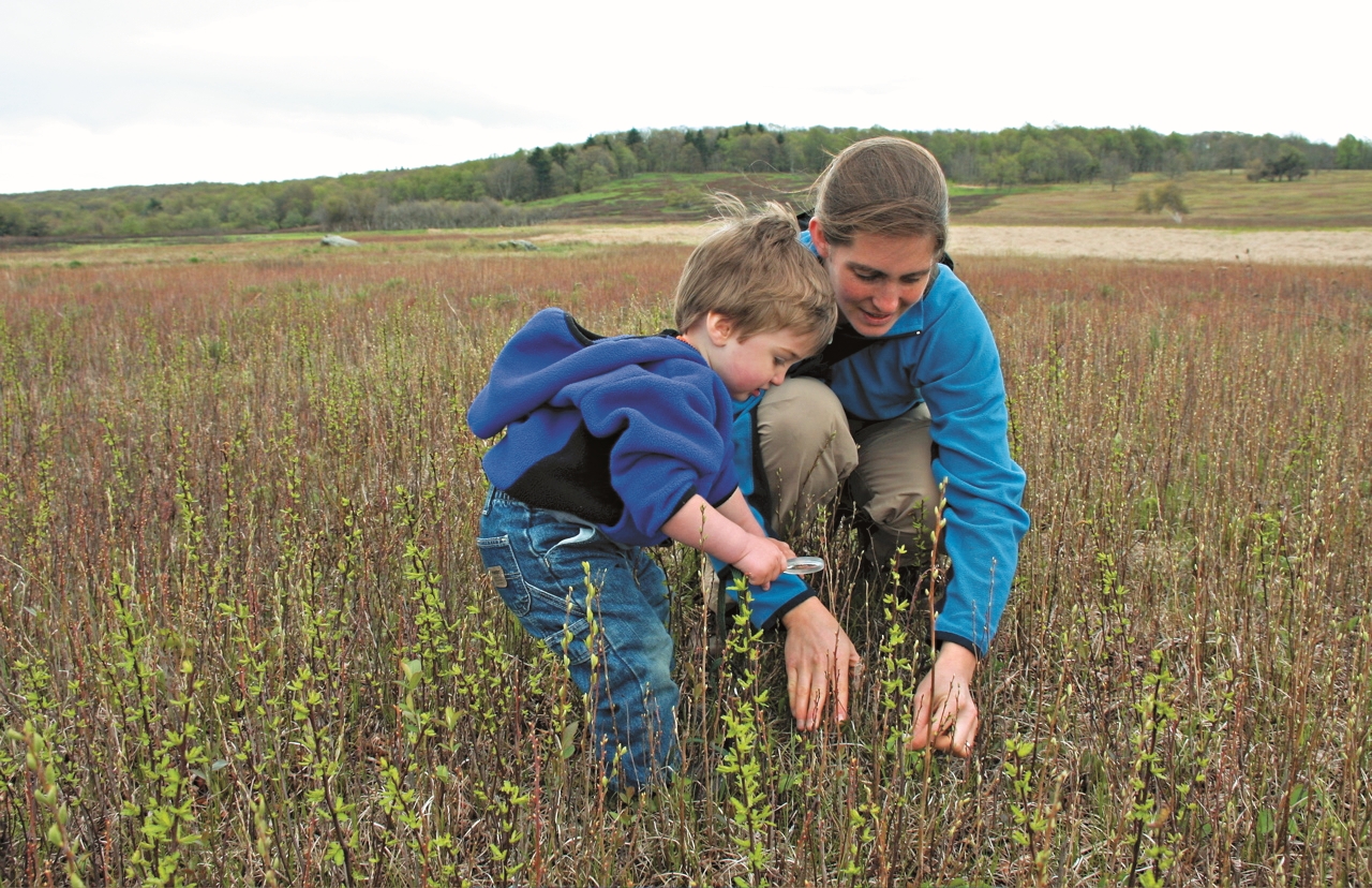 自然環境提供人們細緻且多元的感官刺激
