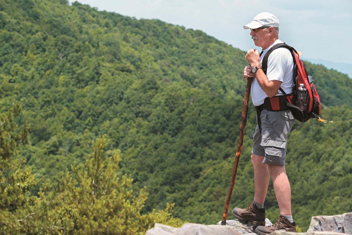 身心的「綠化」是對健康的最佳投資