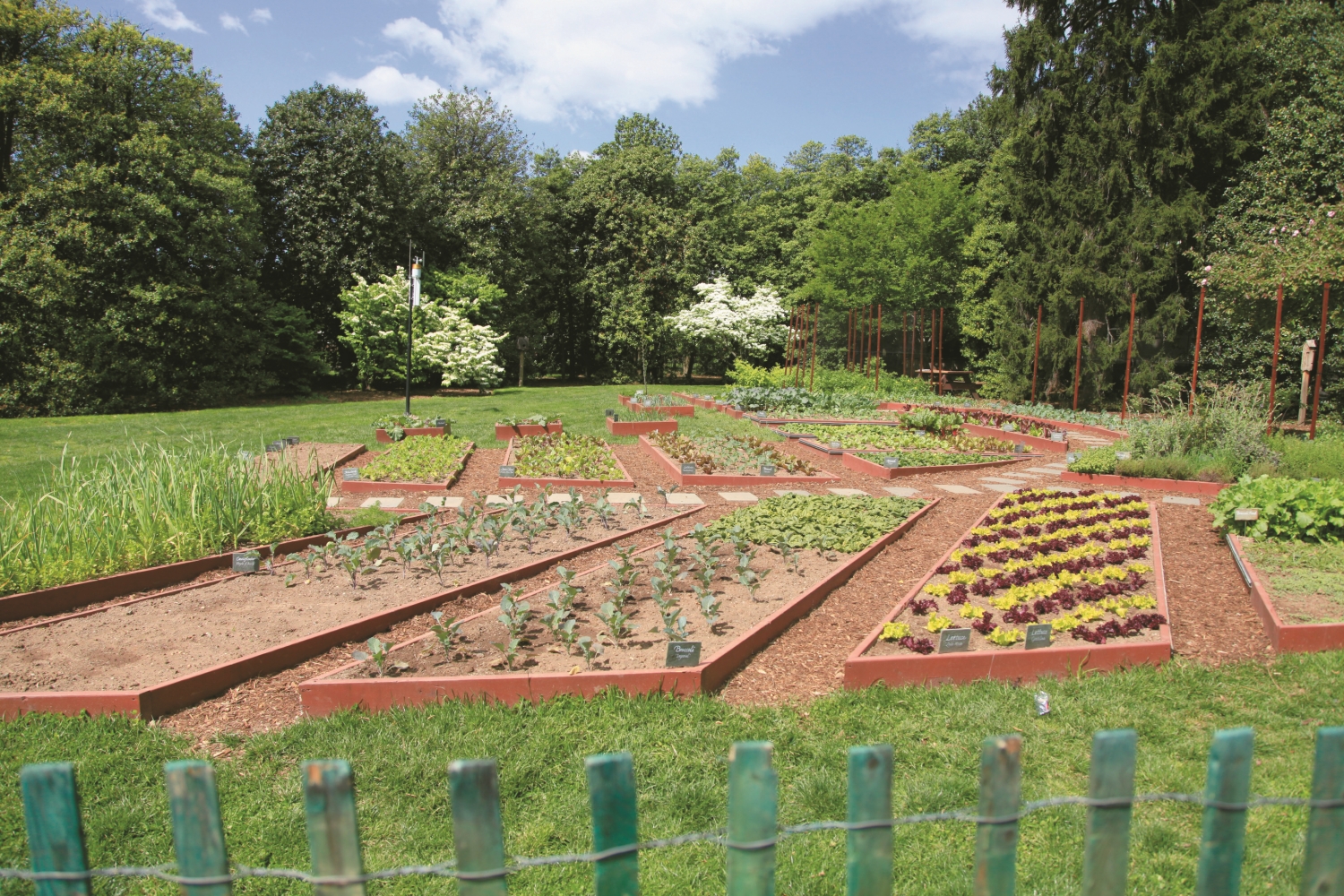 「社區田園」計畫不僅讓人重拾與土地的互動,作物也做為慈善之用