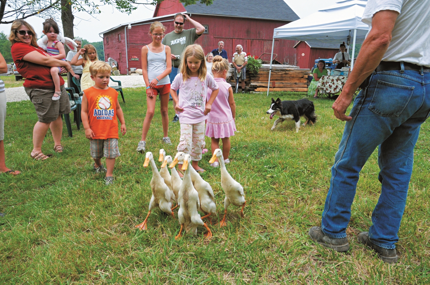 觀察動物活動總是讓大人小孩都興致勃勃