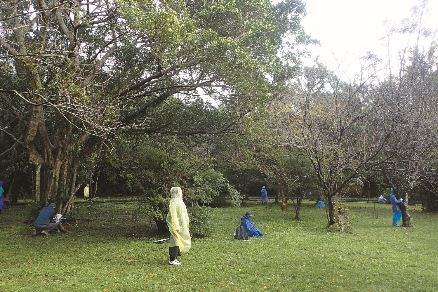 參加活動的學員正在嘗試以各自的方式靜心，感受自然與自身所產生的共振／陽管處 提供